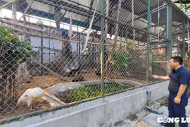 Hà Nội: Tạo lập môi trường hạnh phúc cho động vật hoang dã
