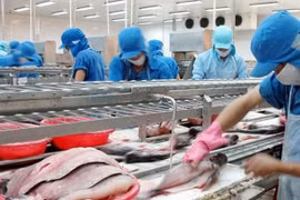 Lãi 9 tháng của Vĩnh Hoàn (VHC) đi ngang, vẫn đang lỗ từ đầu tư chứng khoán