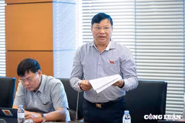 Đề nghị Chính phủ đánh giá tính khả thi của số thu ngân sách nhà nước những tháng cuối năm 2024