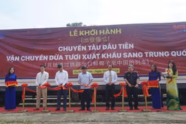 Từ ga Sóng Thần, chuyến tàu đầu tiên đưa dừa tươi sang Trung Quốc