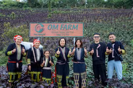 Đem bí mật của thảo mộc đến với cộng đồng