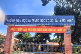 Gia Lai: Hiệu trưởng làm khống hồ sơ tăng giờ, tăng tiết, giáo viên thuê người dạy thay