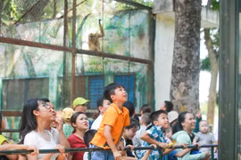 Hơn 70 nghìn lượt khách đổ về Vườn thú Hà Nội trong 4 ngày nghỉ Lễ Quốc khánh