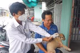 Người dân đã ý thức hơn trong việc tiêm vaccine phòng dại cho chó, mèo