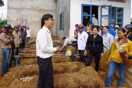 Nam Định: Chương trình hành động về đổi mới công tác đào tạo nghề cho lao động nông thôn
