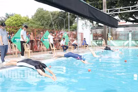 Sôi nổi, bổ ích giải bơi thiếu niên, nhi đồng tỉnh Ninh Bình năm 2024