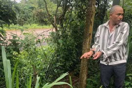Gia Lai: Người đàn ông dùng bẫy điện chống trộm gây chết người rồi đem xác đi giấu