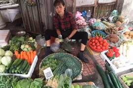 Hơn 1 tuần sau bão Yagi, giá rau xanh vẫn 'nhảy múa'