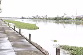 Hà Nam dự báo lũ trên sông Đáy sẽ lên trên báo động III