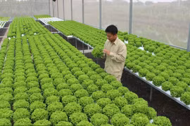 Việt Nam có tên trong top 10 các nước thu hút đầu tư xanh