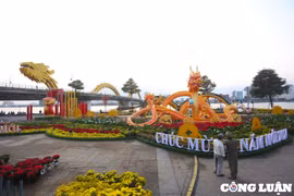 Muôn kiểu linh vật rồng độc lạ trên đường phố Đà Nẵng