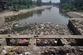 Xây dựng và thực hiện đề án thí điểm cải thiện, phục hồi nguồn nước bị ô nhiễm sông Nhuệ - Đáy
