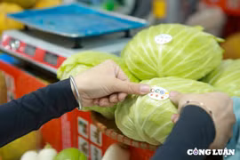 Khai mạc Hội chợ triển lãm Nông nghiệp Quốc tế lần thứ 24