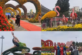 Festival hoa Mê Linh - Bản hòa ca của sắc màu