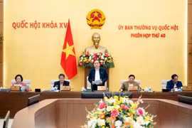 Nghị quyết về bổ sung có mục tiêu từ ngân sách Trung ương năm 2024 cho các địa phương