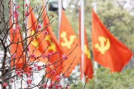 Ninh Bình: Tổ chức Tết Nguyên đán 2025 phù hợp với điều kiện, bảo đảm an toàn, tiết kiệm