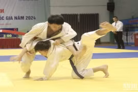 Hơn 250 vận động viên tham gia Giải vô địch Jujitsu trẻ quốc gia năm 2024