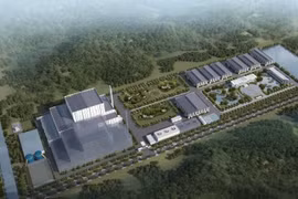 Bamboo Capital (BCG) sắp phát hành 80 triệu cổ phiếu thưởng cho cổ đông