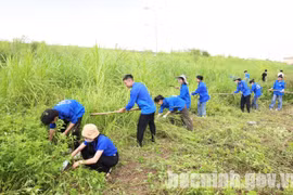 Bắc Ninh: 150 công trình, phần việc thanh niên được thực hiện trị giá hơn 4 tỷ đồng