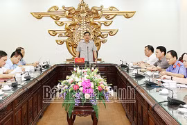 Nam Định: Tiếp tục điều tra, làm rõ vi phạm của các đối tượng liên quan đến khu vực Cồn Xanh