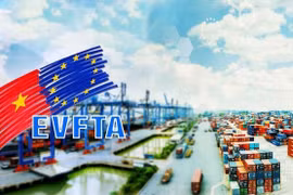 Sau 4 năm EVFTA có hiệu lực, hàng hóa Việt Nam 'thăng hoa' trên ở châu Âu