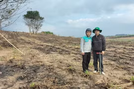 NPK Phú Mỹ gắn kết "Đất màu mỡ - Mía ngọt ngào”