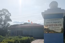 Gia Lai: Khởi tố kế toán trưởng một công ty lâm nghiệp vì chiếm đoạt tiền của cơ quan để tiêu xài