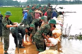 Thủ tướng Chính phủ phân công hai Bộ chủ trì soạn thảo 2 dự án luật