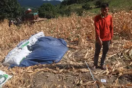 Gia Lai: Thanh niên bị khởi tố vì vô ý làm chết người trong lúc sạc bắp thuê