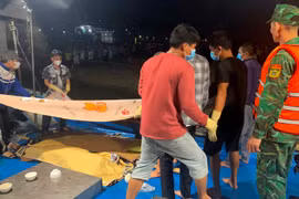 Đã tìm thấy thi thể 2 ngư dân mất tích trong vụ chìm thuyền câu mực ở Nghệ An