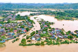 Phú Thọ: Hơn 200 hộ dân của huyện Hạ Hòa phải sơ tán do mưa lũ