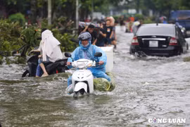 Hà Nội: Đường phố thành sông, nhà tạm ven sông ngập tới nóc, nhiều nơi phải di dời dân