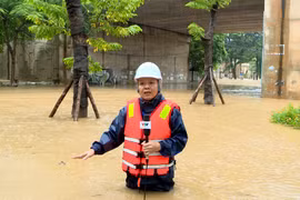 Đài Truyền hình Việt Nam sẽ phát các bản tin đặc biệt cập nhật tình hình lũ khẩn cấp