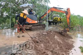 Nước trên các sông dâng cao, Thái Bình phát lệnh báo động II - III