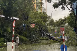 Doanh nghiệp bảo hiểm đẩy mạnh bồi thường cho khách hàng bị thiệt hại do bão Yagi