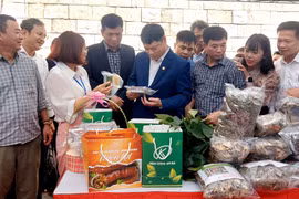 Trưng bày gần 400 sản phẩm OCOP tại Tuần Văn hóa và Du lịch tỉnh Bắc Giang 2024