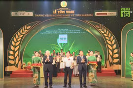 NPK Phú Mỹ 20-10-10+TE: “Thương hiệu Vàng nông nghiệp Việt Nam năm 2024”