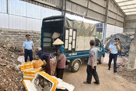 Quảng Ninh: Xử phạt 60 tổ chức, cá nhân vi phạm an toàn thực phẩm