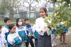 Nam Định: Hoàn thành công tác tuyển sinh đầu cấp năm học 2024-2025