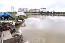 Lũ sông Đáy ở Hà Nam vượt báo động III