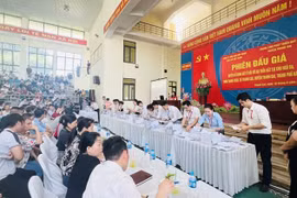 Bộ Tài nguyên và Môi trường làm việc với huyện Thanh Oai, Hoài Đức về đấu giá đất