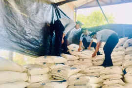 Bán 28,55 tấn đường cát nhập lậu, một hộ kinh doanh tại Quảng Trị bị phạt 1,1 tỷ đồng