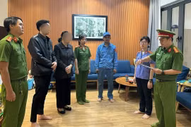 Đà Nẵng: Một 'nữ đại gia' bất động sản bị khởi tố, bắt tạm giam về tội lừa đảo chiếm đoạt tài sản