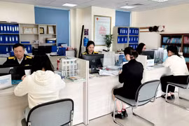 Quảng Ninh đang chạy “nước rút” để hoàn thành mục tiêu thu ngân sách năm 2024