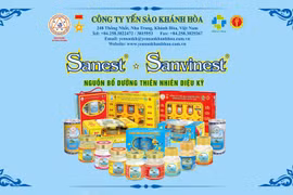 Cách nhận biết yến sào Khánh Hòa 'chính hãng' made in Việt Nam