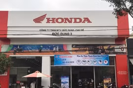 Gia Lai: Truy tố cửa hàng trưởng và 2 kế toán doanh nghiệp chiếm đoạt hơn 1 tỷ đồng