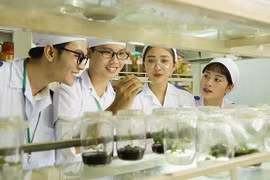 Nở rộ nhiều mô hình đào tạo đại học giá đắt đỏ: Đầu tư giáo dục thế nào mới khôn ngoan?