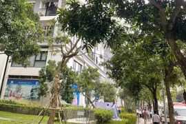 Hà Nội: Bé trai 5 tuổi rơi từ tầng cao xuống đất tử vong