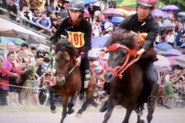 Lào Cai: Nhiều hoạt động đặc sắc, hấp dẫn "Festival cao nguyên trắng Bắc Hà"