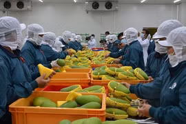 Xuất khẩu thủy sản, cà phê, rau quả "made in Việt Nam" đang tăng tốc